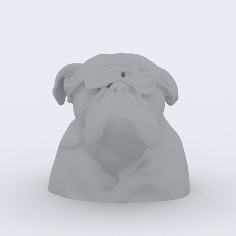 3D preview of a portrait bust of Bonkers the bulldog