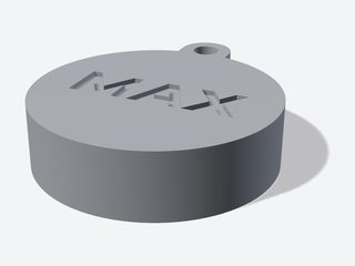 3D preview of the AirTag pet tag