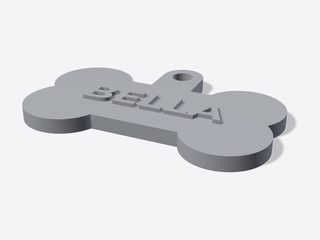 3D preview of the Bone pet tag