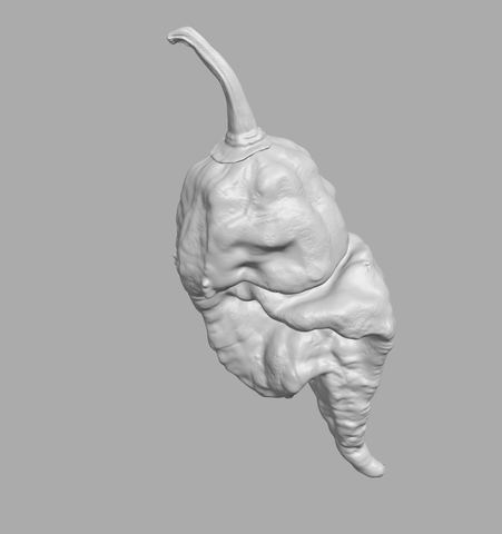 Sculpted Pepper Display Pieces design