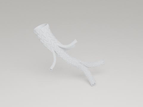 Heart Valve Teaching Model design