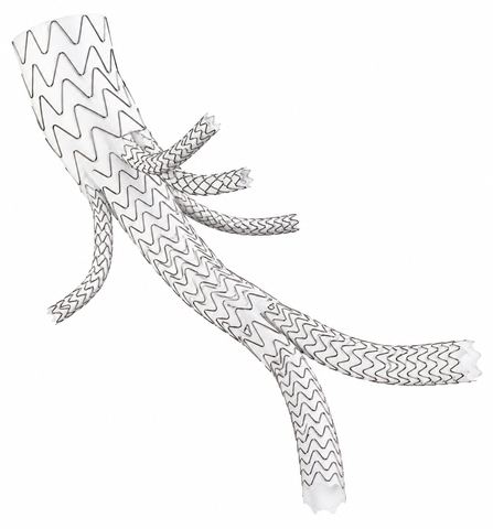 Heart Valve Teaching Model design