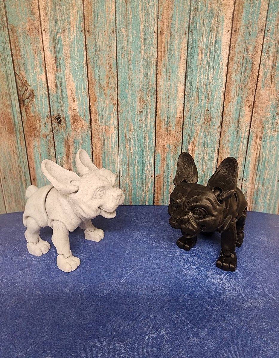 French Bulldog