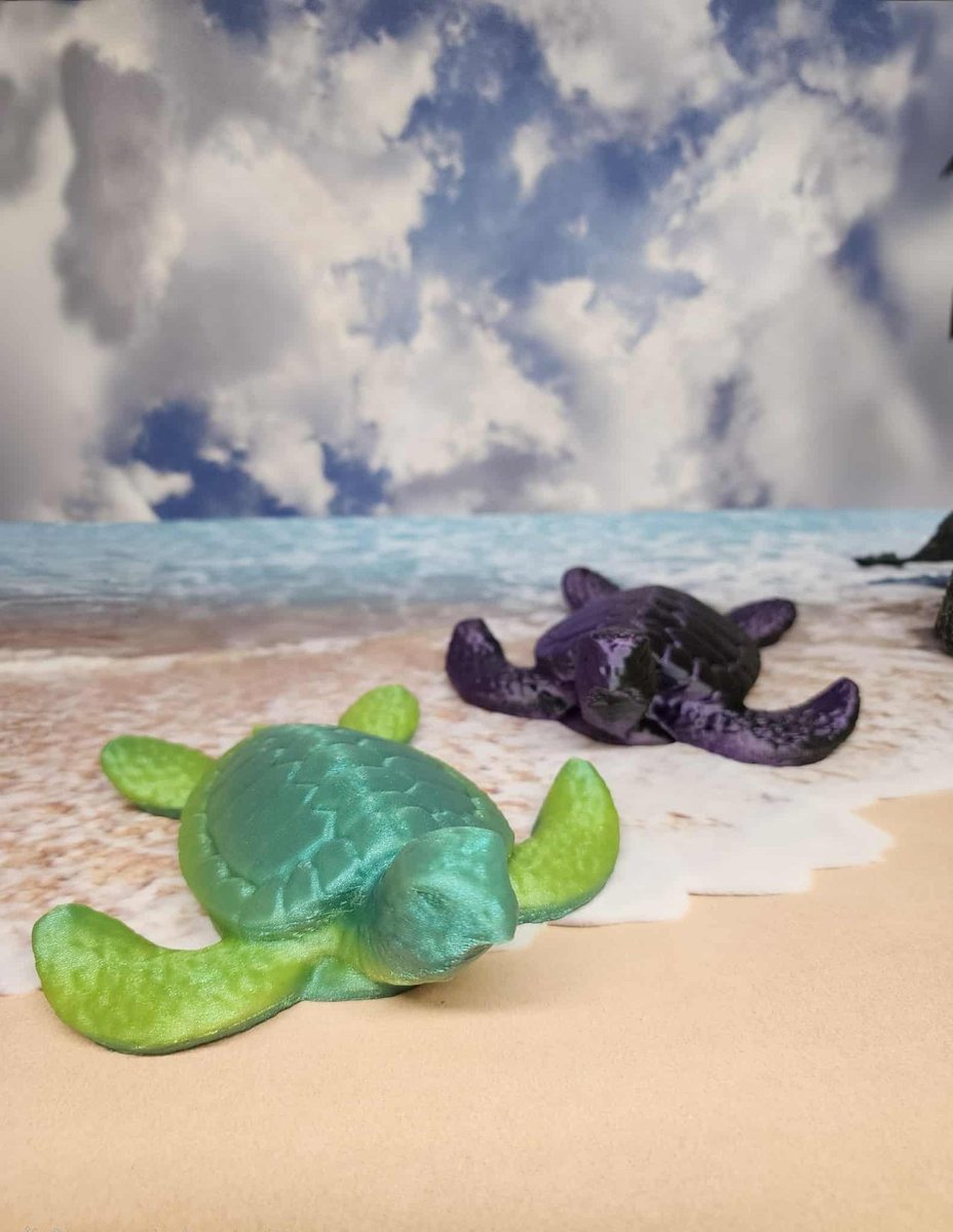 Sea Turtle