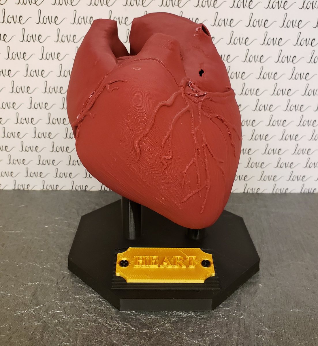 Anatomical Heart