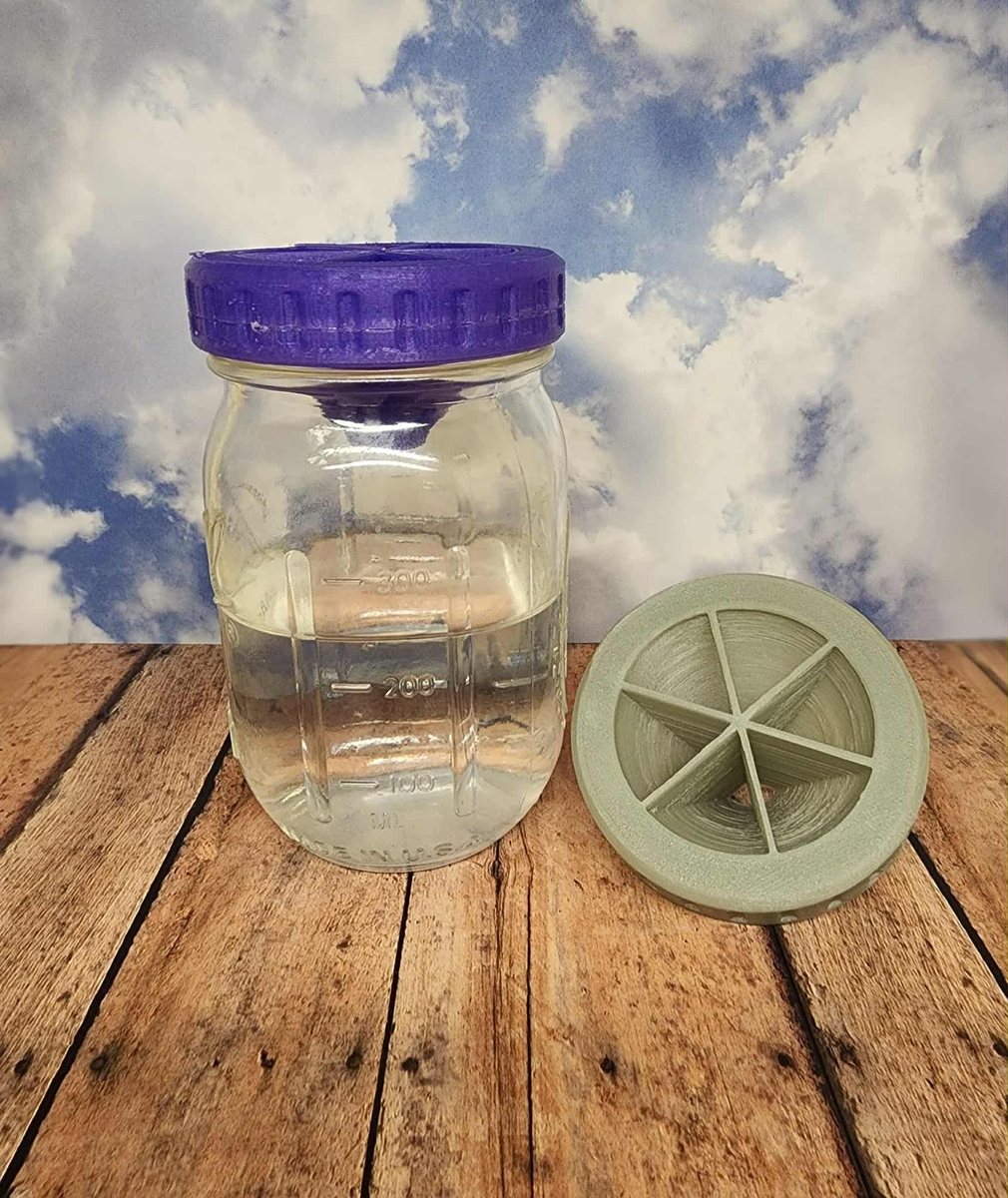 Mason Jar Fly Trap