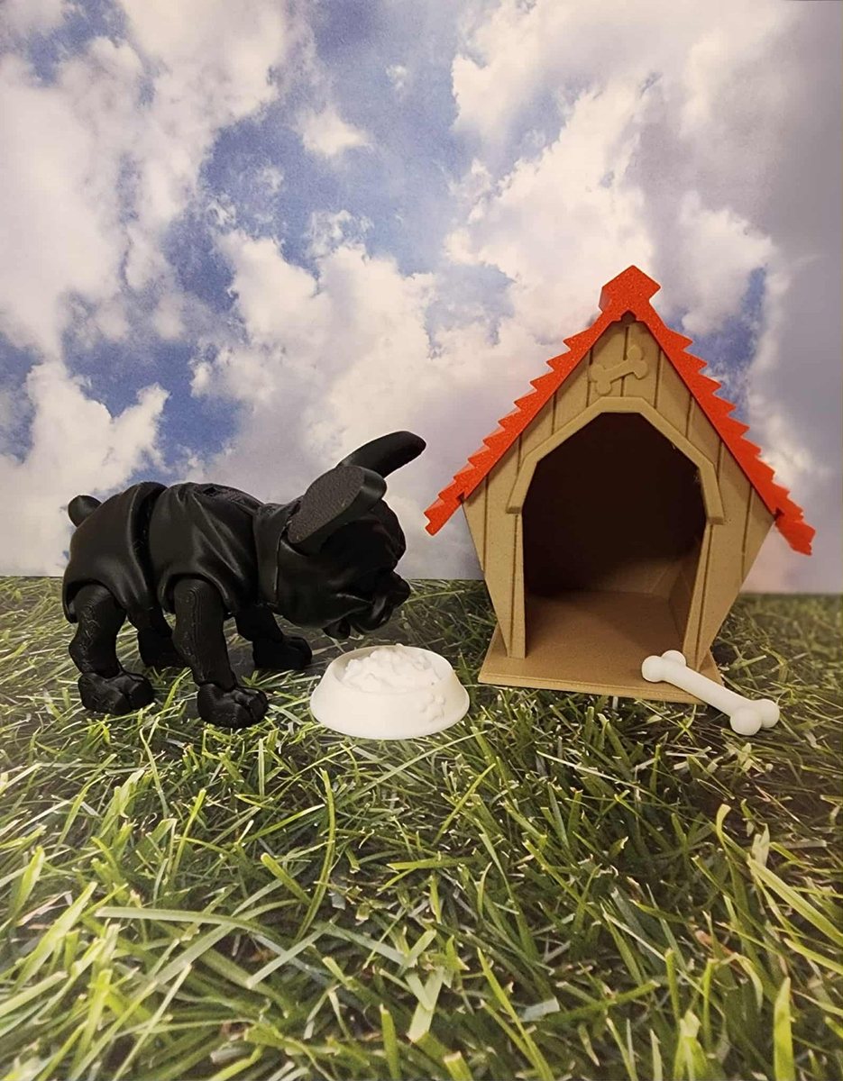 Dog House Props