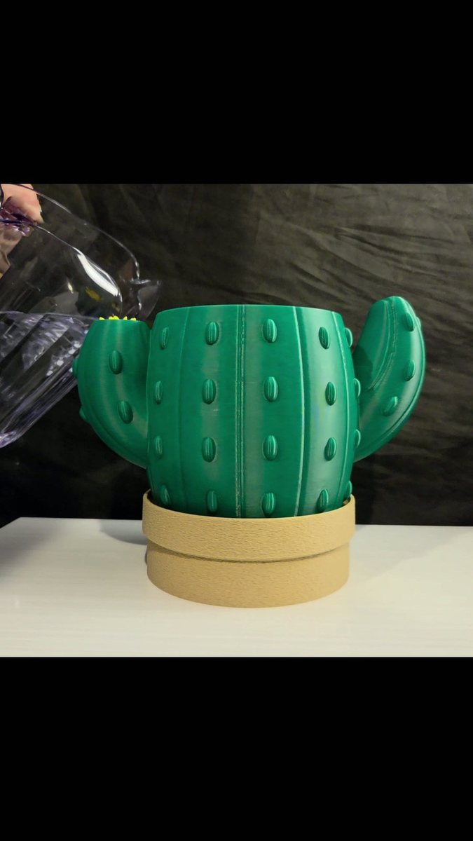 Bloom Signal Cactus Planter