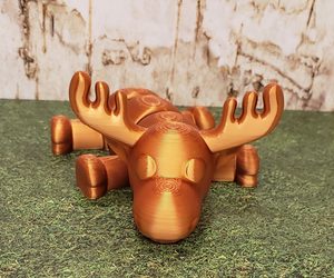 Moose Settle