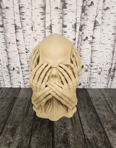 Skull of Wisdom