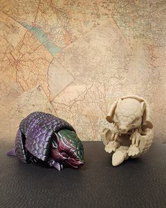 Armadillo