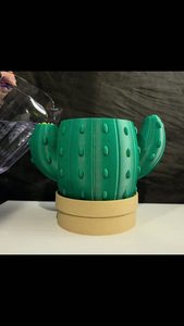 Bloom Signal Cactus Planter