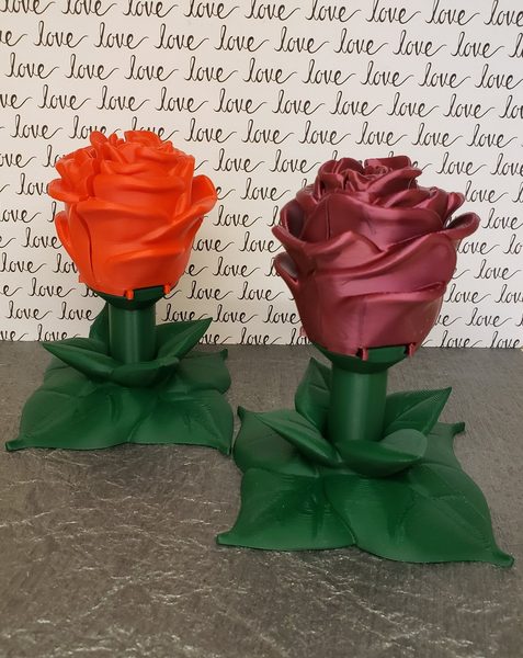 Sweet Rose