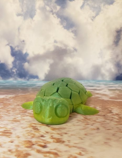 Myrtle the Turtle Keychain