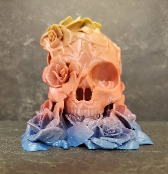 Death and Beauty Skull